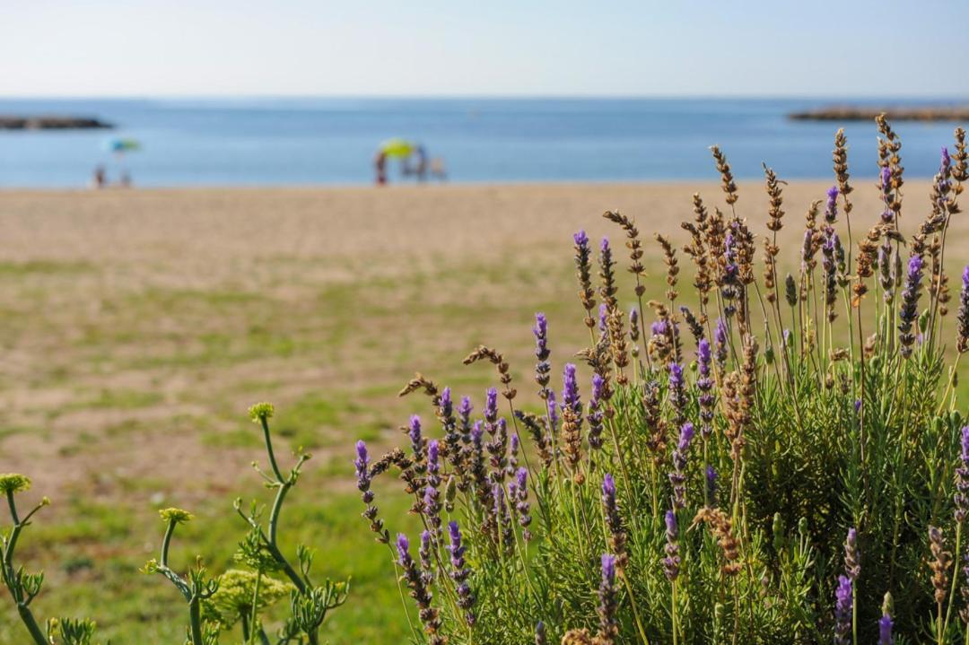 Casa Del Dorado Playa Cambrils Βίλα Εξωτερικό φωτογραφία